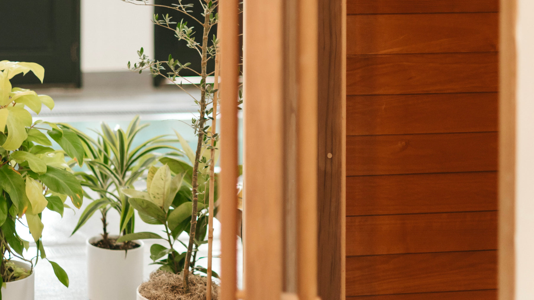 A Look Inside the Space