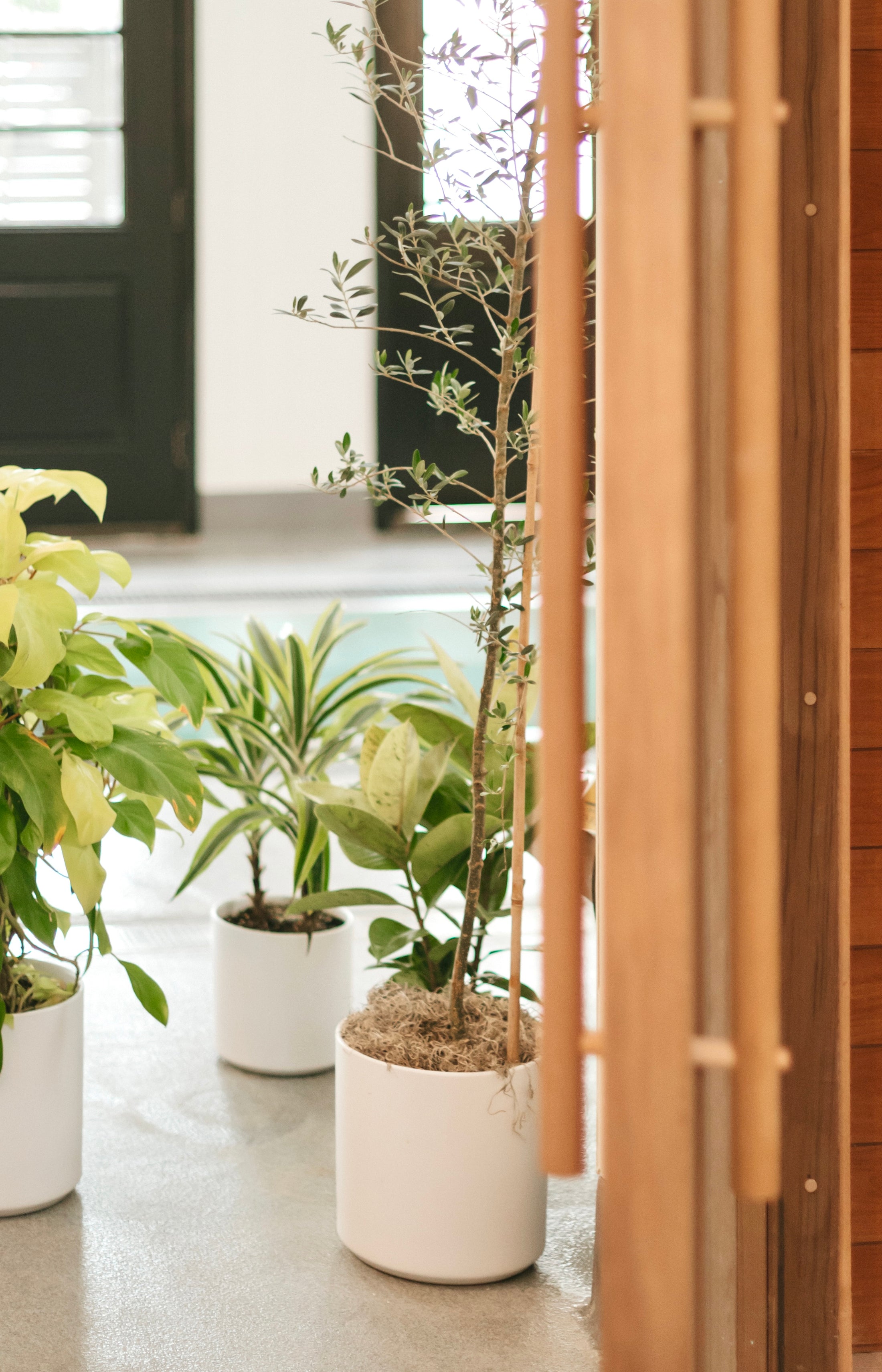 A Look Inside the Space