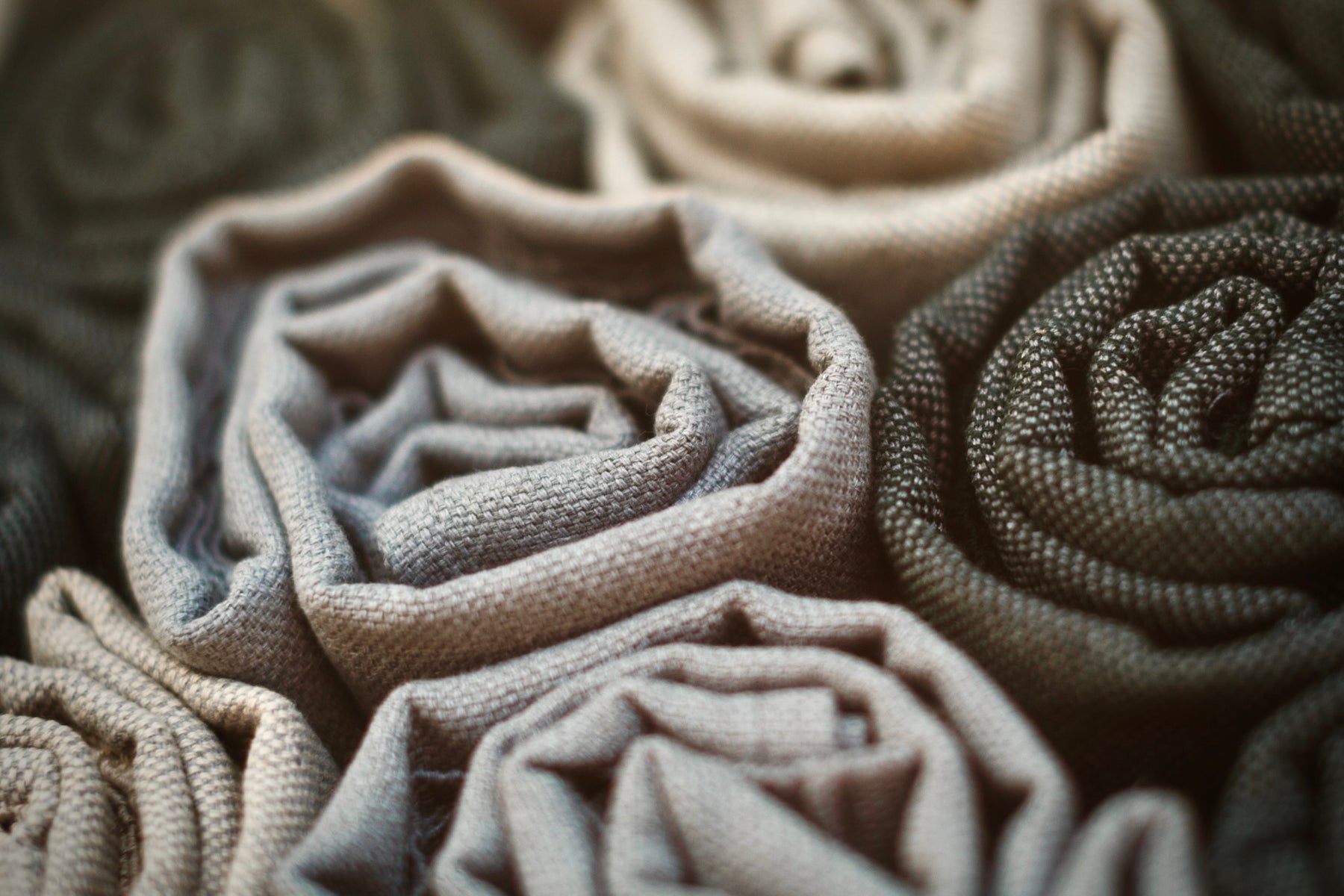 A Look Inside the Space