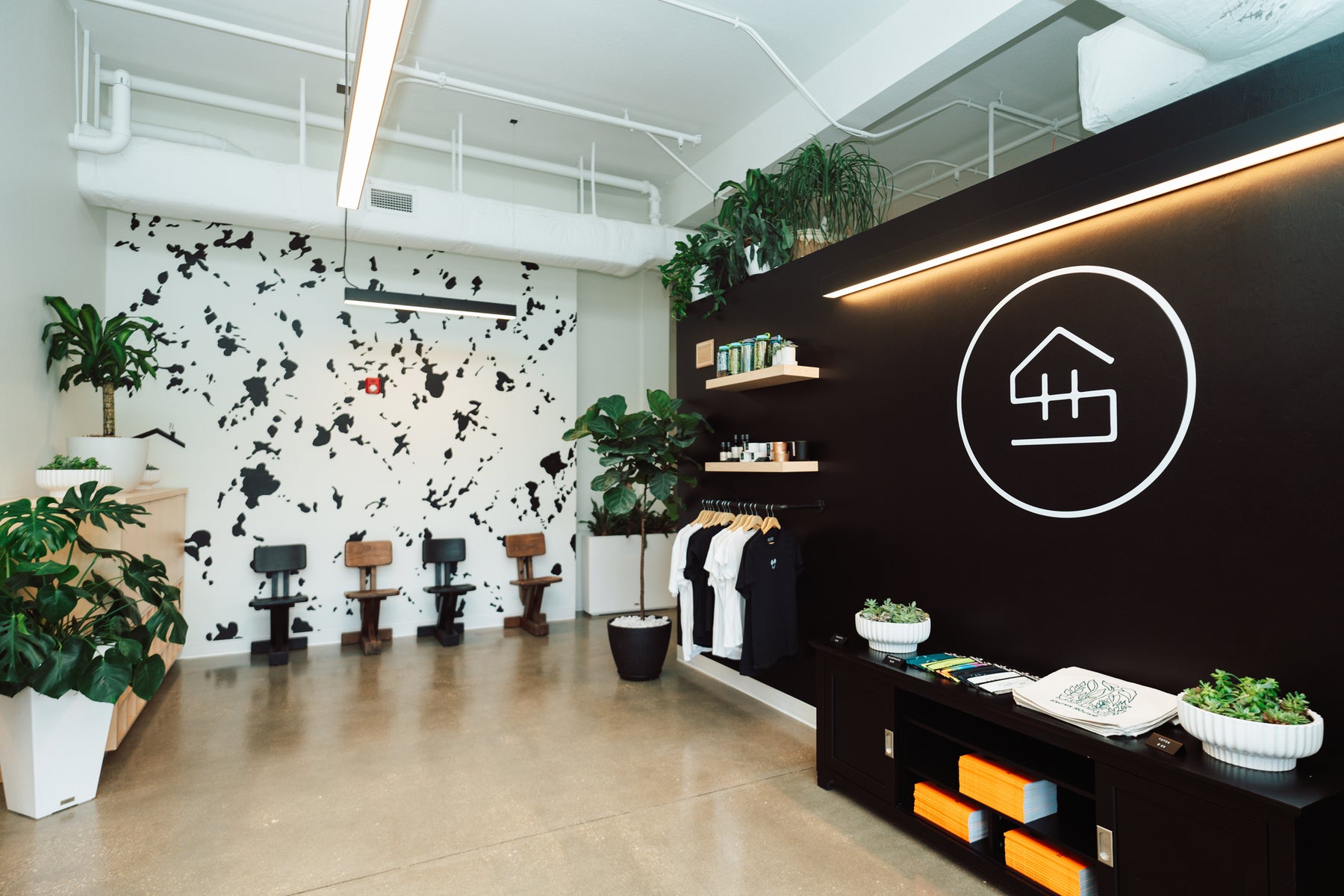 A Look Inside the Space