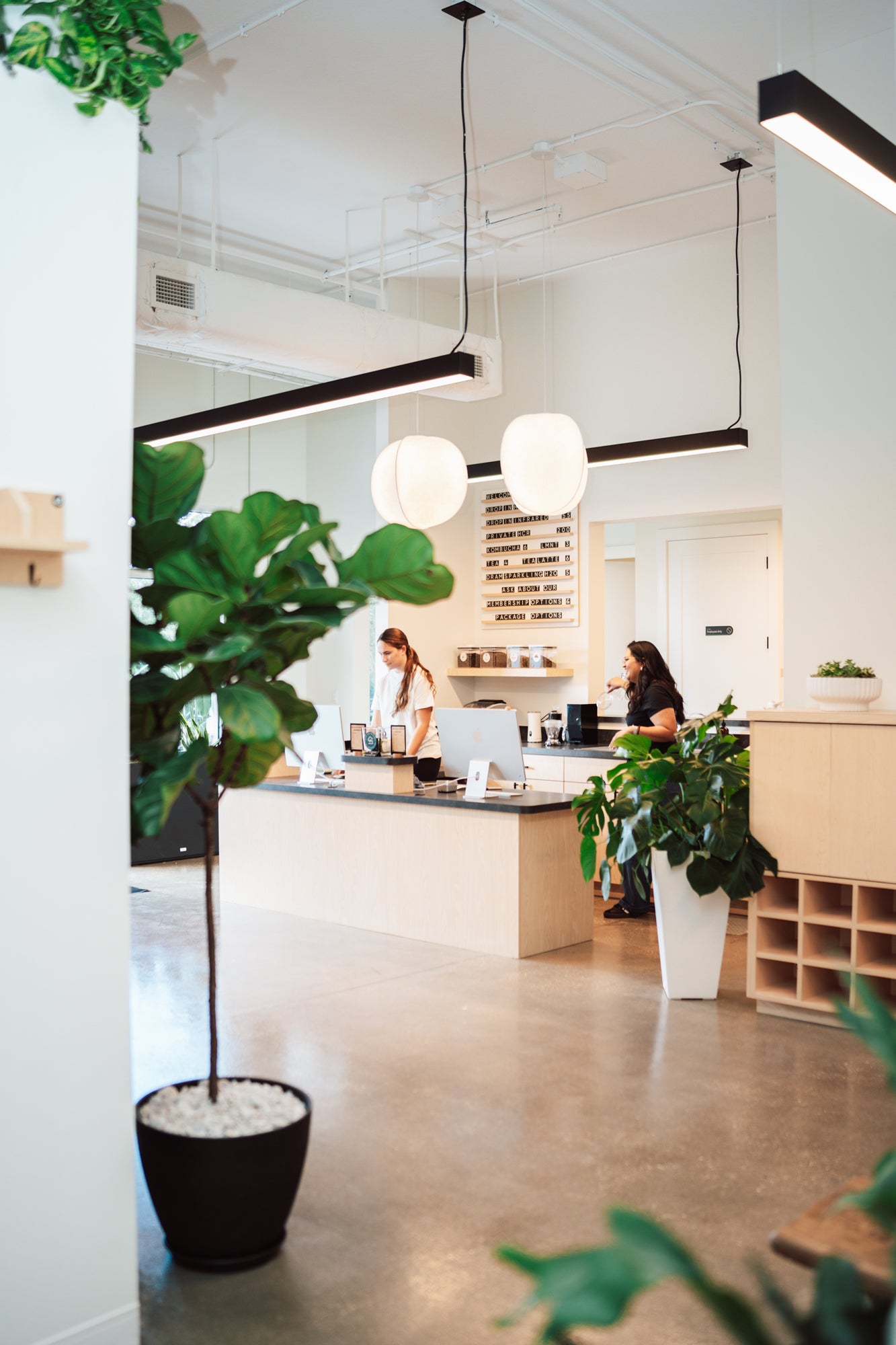 A Look Inside the Space