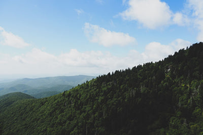 Hurricane Helene: Bathing and General Hygiene Access Tips for the Asheville Area