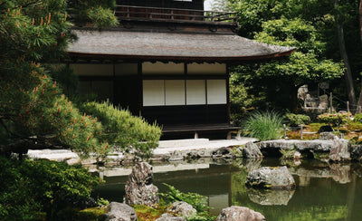 Digging Into Japanese Bathhouse Culture