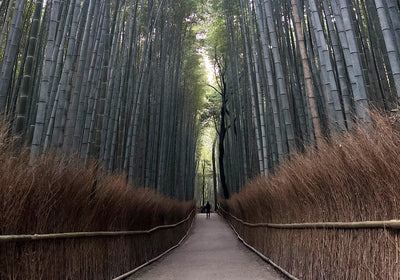 A Tattooed Visitor’s Guide to Japanese Bathing Culture