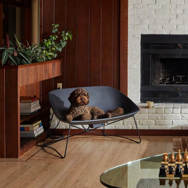 dog lounging in an Orion Heated Chair