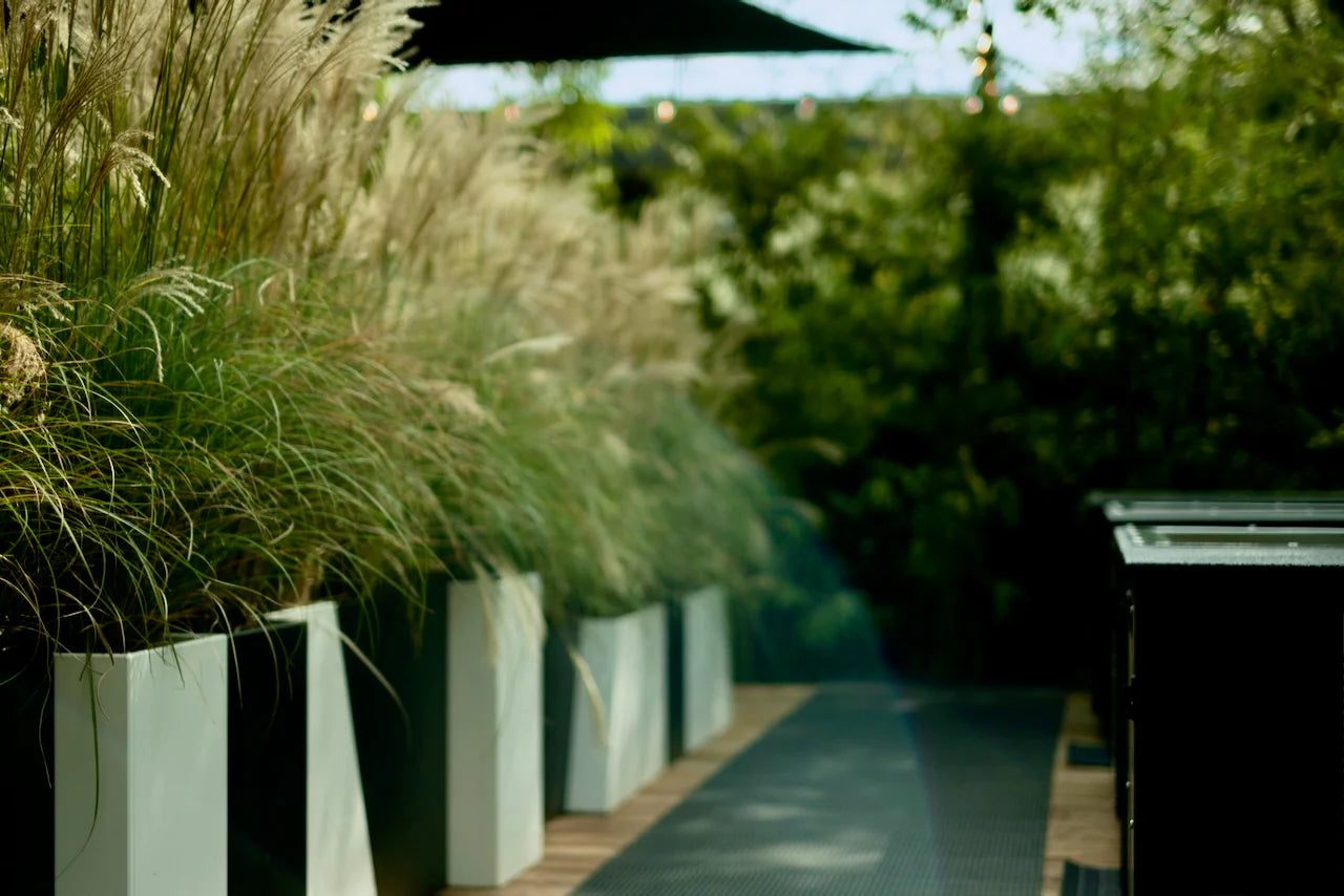 Austin's Premier Wellness Destination