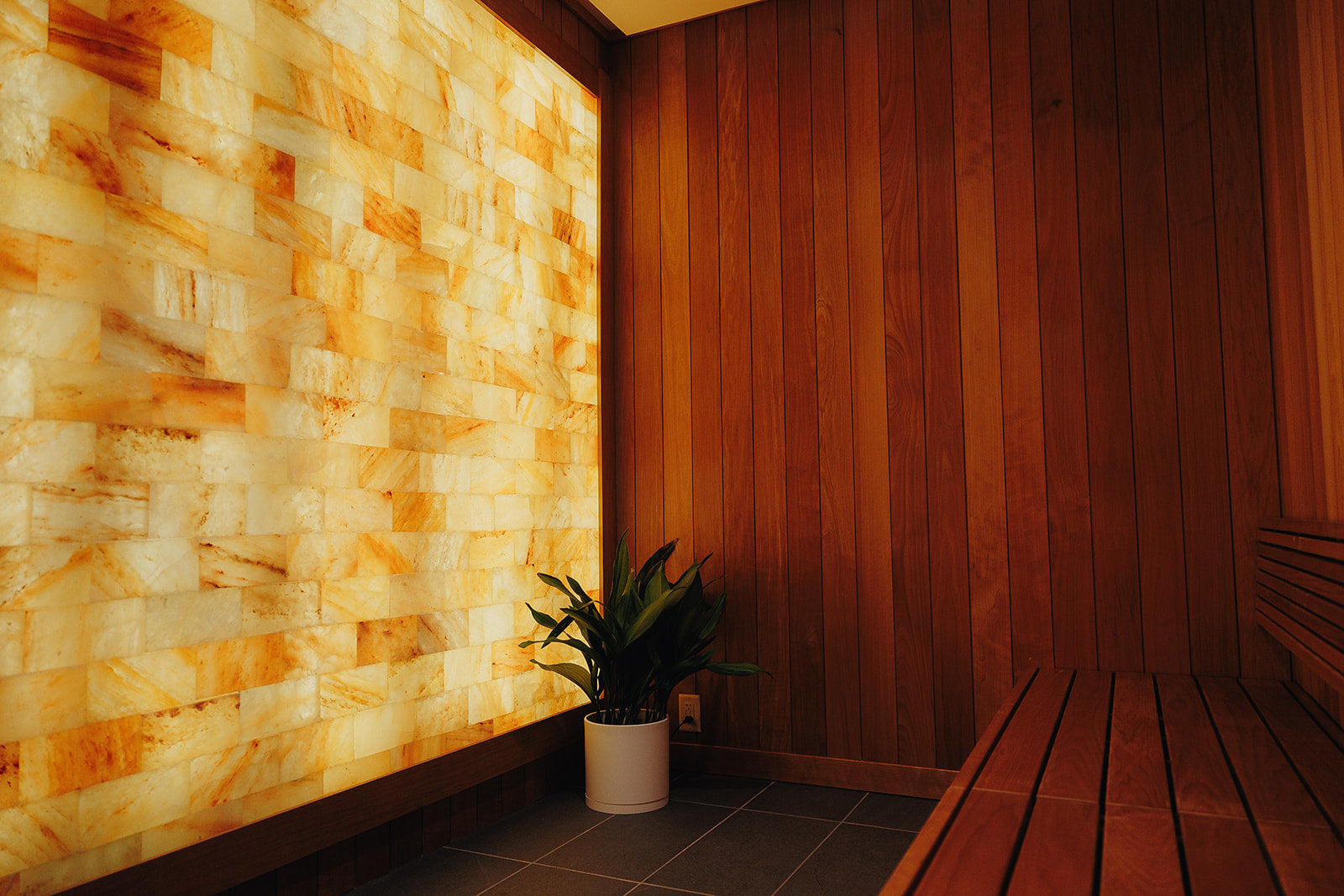 A Look Inside the Space