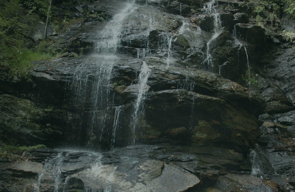 Sauna Near Me - Sauna | Cold Plunge | Bathhouse | Ice Bath – Sauna House