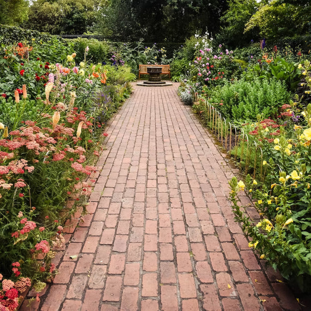Garden path with flowers in bloom
